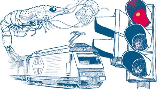 Gut oder nur gut gemeint?