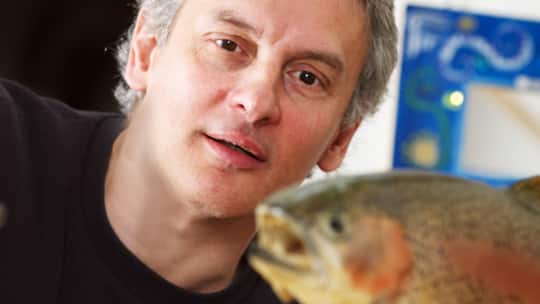 Mysteriöser Wachstumsschub