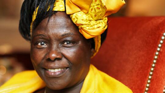 «Wartet nicht auf die Regierung, löst das Problem selbst»