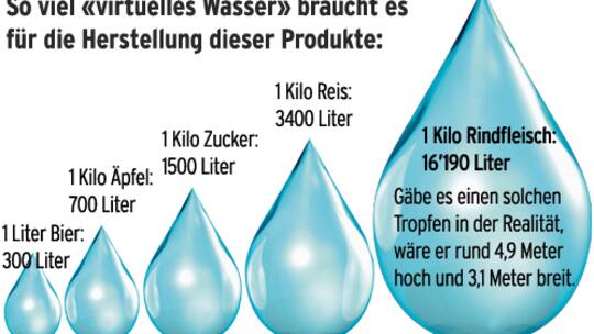 Ein Beefsteak «verschlingt» gigantische Wassermengen