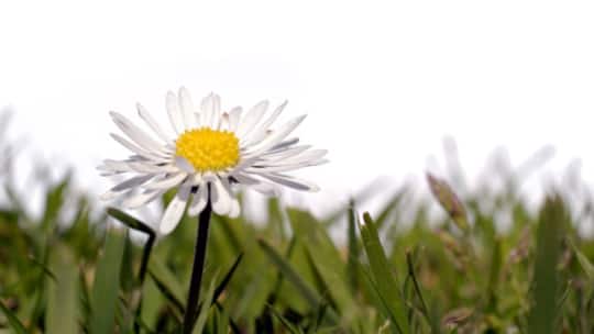 Bloss nicht gepützelt