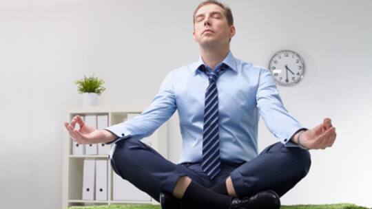 Die Bürowelt wird grün