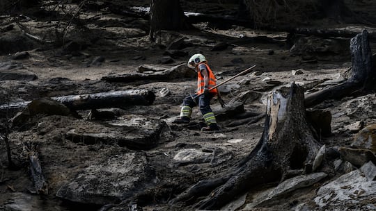 Des pompiers continuent d'eteindre le feu de l'incendie de foret au-dessus de Bitsch/Ried-Moerel le vendredi 28 juillet 2023 a Bitsch dans le Haut-Valais. (KEYSTONE/Jean-Christophe Bott)