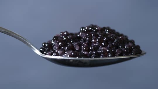 Hände weg von Wild-Kaviar