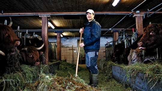 «Die spinnen, die Tenner»