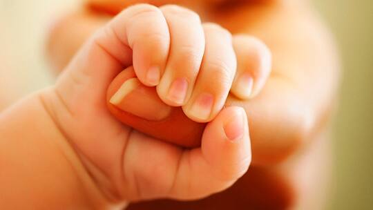 Schwanger auch ohne Mann