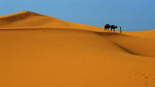 Er kam nur bis zur Botschaft