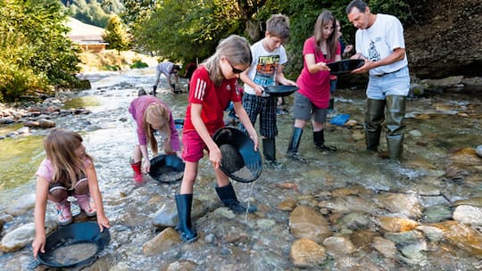 Der Lockruf des Goldes