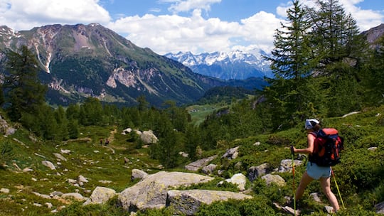 Auf dem letzten Zacken