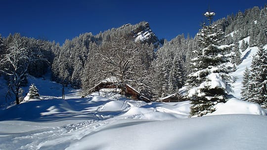 Wandern in Yetis Schuhen