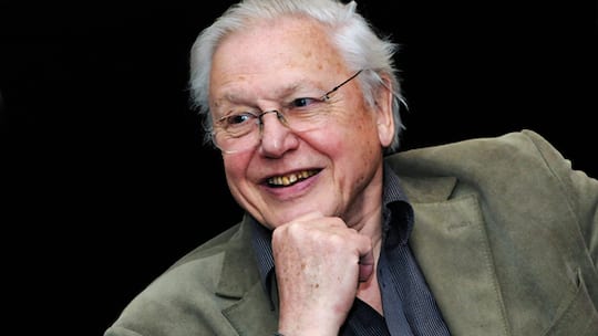 «Wer an die Unschuld der Natur glaubt, wird gefressen»