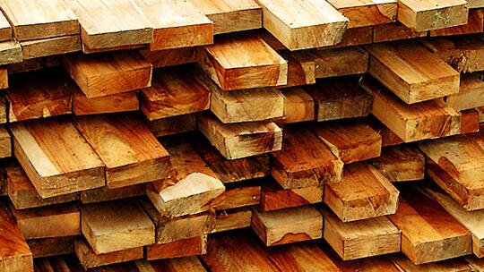 Holz muss deklariert werden