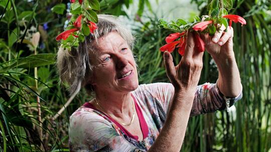 Die Welt im Glashaus