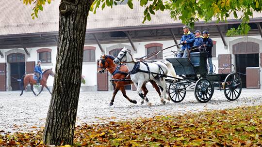 Im Nationalheiligtum der Pferdefans