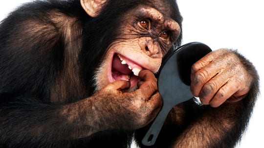 Der kleine Unterschied