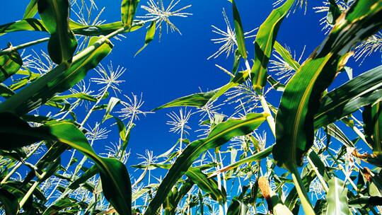 Antrieb der Zukunft?