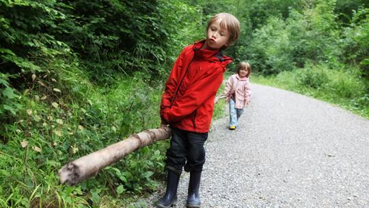 Mit Kindern im Wald