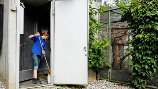 «Ich will alles über Tiere wissen»