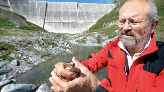 Wo sich die Natur nimmt, was sie braucht