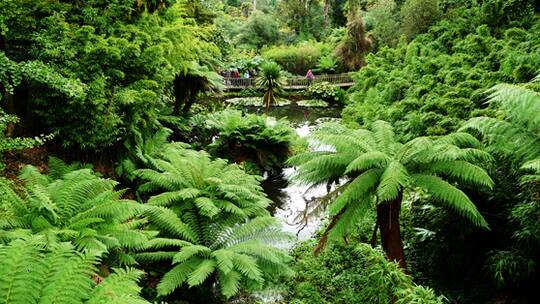 Hier lebt die Vergangenheit