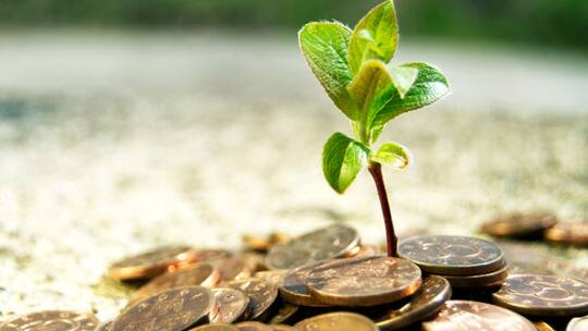 Geld anlegen und die Umwelt schützen