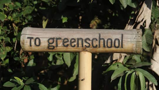 Das grünste Klassenzimmer