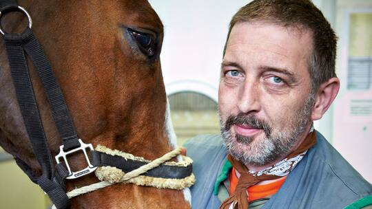 Ein Pferd kommt unters Messer