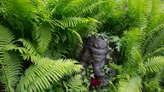 Kleiner Garten ganz gross