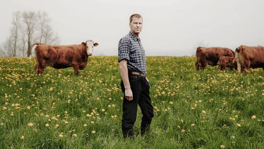 Der Mist ist geführt