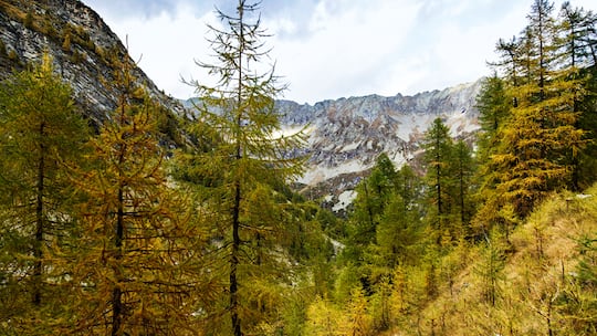 Ein Tal baut auf Stein