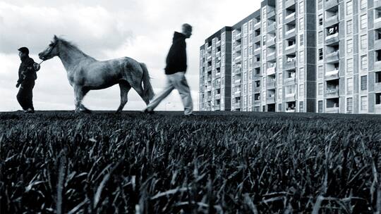 Auf dem Rücken der Pferde