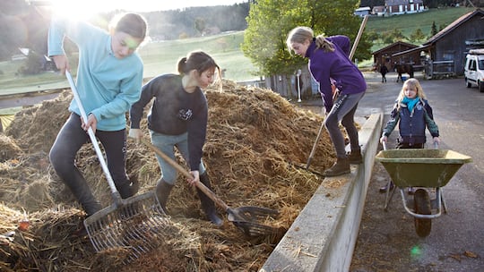 Zeit für einen besten Freund