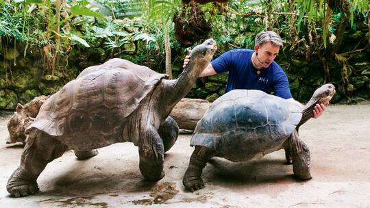 Harte Schale, sensibler Kern