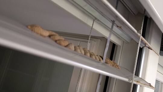 Insektennester auf Lamellen