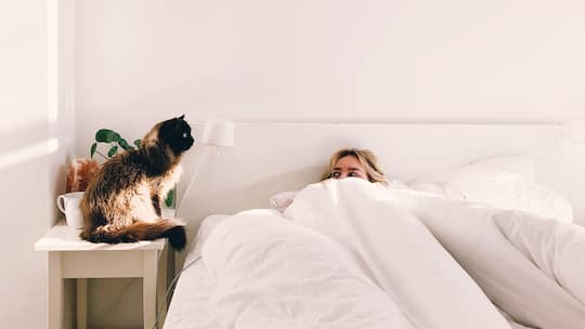 Eine Frau versteckt sich unter ihrer Bettdecke vor ihrer Katze.