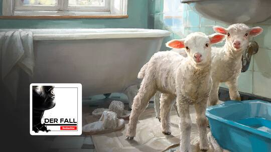 Podcast «Der Fall». Zwei Lämmer in einem Zürcher Badezimmer