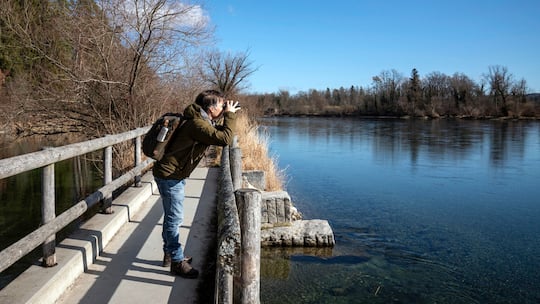 Unterwegs auf dem Uferweg entlang des Rheins bei Rüdlingen SH.