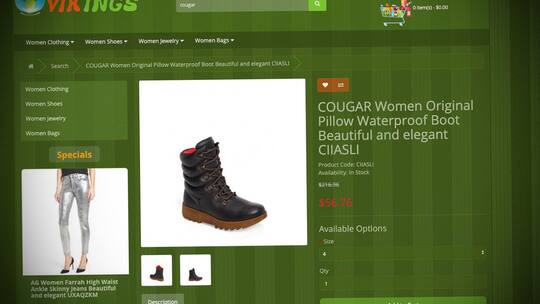 Screenshot vikingsofnorway.com