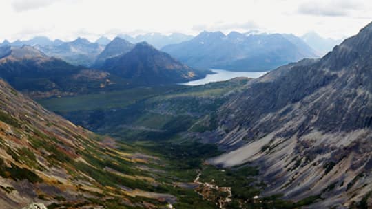 Der Traum von der Wildnis