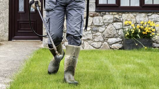 Person spritzt Pestizide in ihrem Garten