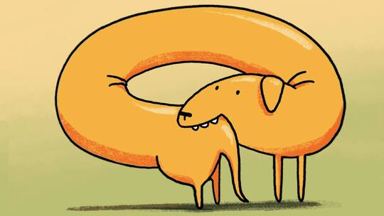 Ein Hund beisst sich ins Hinterteil