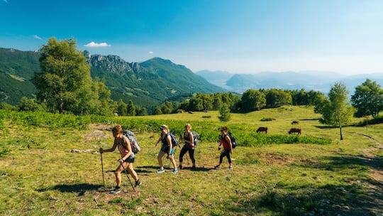 Eine Gruppe von Wanderern - Am Wochenende noch nichts vor? Dann ab in die Berge! Das ist nämlich nicht nur erholsam, sondern hält uns auch fit und schlank