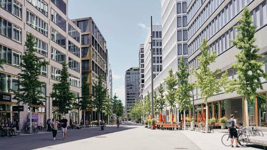 Ginkgos an der Europaallee in Zürich; An der Zürcher Europaallee machen sich weibliche Ginkgobäume breit. Bald schon heisst das: Nase zu und durch.