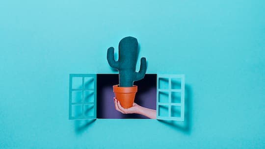 Paper illustration with a cactus in a pot out of a windows.