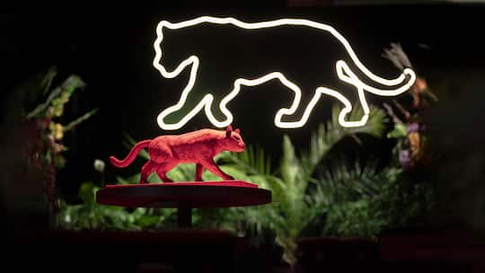 Der Panter-Preis der Taz, Berlin