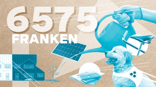 Eine Collage mit dem Einkommen von 6575 Franken; Beobachter PlusBudget-Serie «Die Abrechnung»: Lehrer und Pflegefachfrau «Wir brauchen im Monat gegen 1000 Franken für Bio-Produkte» Für unsere Serie legen Leute ihr Einkommen offen – und wofür sie ihr Geld ausgeben. Lehrer Matthias Bachmann und seine Frau leben möglichst umweltbewusst.