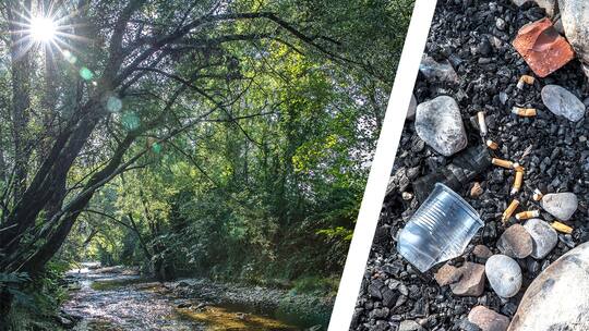 Bünzaue in Möriken AG