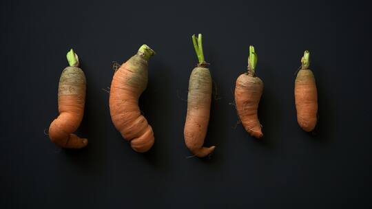 Unregelmässig geformte Karotten