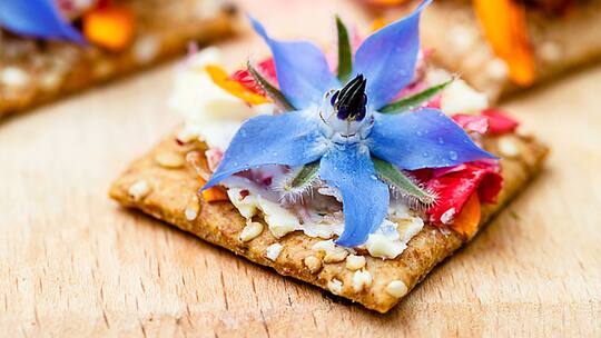 Flowerpower auf dem Teller: Viele Blumen sind wahre Delikatessen.