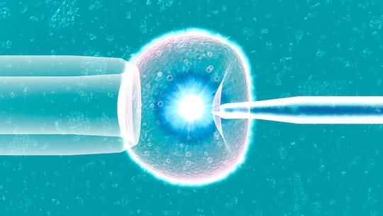 «Es zerriss mich fast»